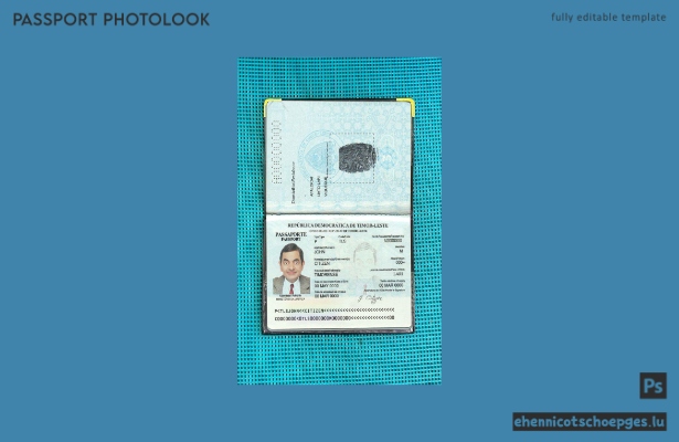 Beispielansicht für ein Passfoto aus Timor-Leste
